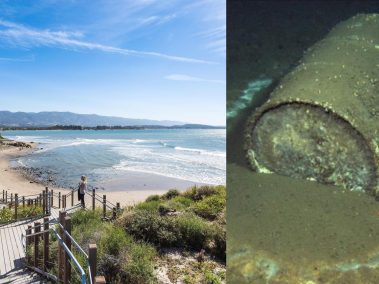 Los científicos estiman que hay más de medio millón de barriles con residuos tóxicos en la bahía de california.