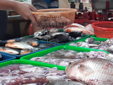 Pescado en Corabastos