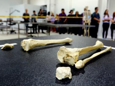Centro de Abordaje Forense e Identificación