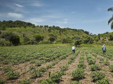 Restitución de tierras.