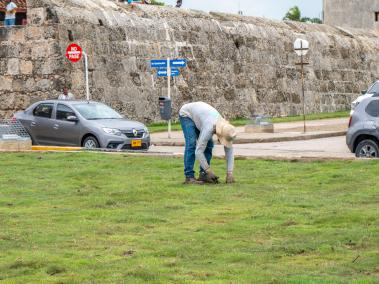 Recuperan la Bambinera en Cartagena