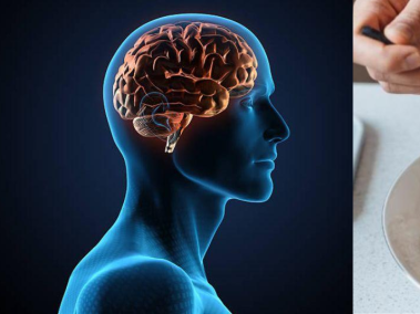 Este es el mejor cereal para el cerebro: fortalece la memoria, mejora la concentración y el rendimiento mental sostenido