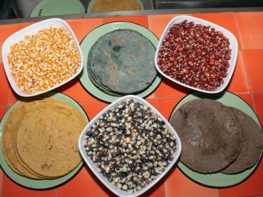 Tortillas de tantos colores como el maíz de donde vienen