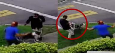 Perro salvó a su dueño de un robo en Bogotá