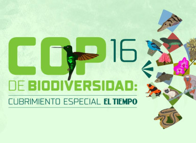 Share cubrimiento especial COP16