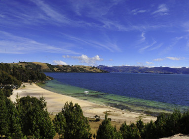 A comienzos de diciembre de este año un juez de Sogamoso, Boyacá, aceptó una tutela de la Procuraduría y reconoce al Lago de Tota, el más grande del país, como sujeto de derechos.