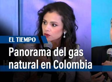 Expertos aclaran las distintas aristas que componen a este tema y dan respuesta a las posibles inquietudes sobre la transici??n energ??tica.