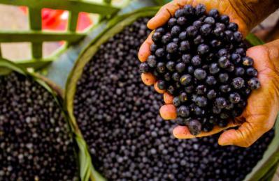 El producto contiene alimentos naturales como açaí, arándanos y betaglucano.