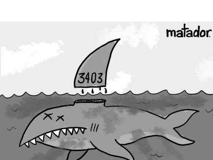 Ecocidio en las costas colombianas - Caricatura de Matador