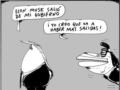 La voz de la experiencia - Caricatura de Mil