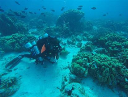 El biólogo marino y buzo de altas profundidades Nacor Bolaños, de CORALINA, trabaja en un arrecife de Serrana.