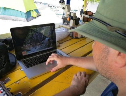 Felipe Estela, ornitólogo de la Universidad Javeriana de Cali, y de la Asociación Calidris, verifica los videos de las cámaras trampa.
