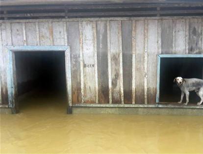 Las fuertes lluvias también tienen con alerta naranja a otras zonas del Chocó por los niveles altos del río Atrato.