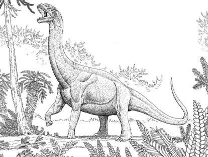 El fósil de una hembra de 'diplodocus' fue subastado en 2013 en un pueblo de Reino Unido por US$640.000. El esqueleto mide 17 metros de longitud.