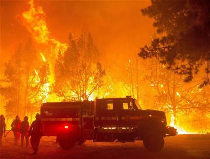 Los bomberos intentan detener las llamas en las montañas de Santa Cruz cerca de Loma Prieta, California (EE. UU.).