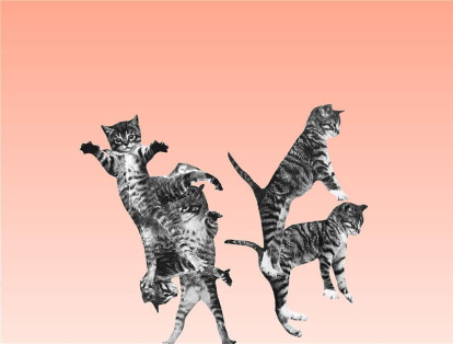 En Cat-bounce podrá jugar con unos gatos saltarines, una página entretenida si este es su animal favorito y no le incomoda verlos saltar tanto. (http://cat-bounce.com/)