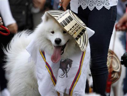 Keyko fue el ganador del desfile de mascotas durante la inauguración de la Feria.