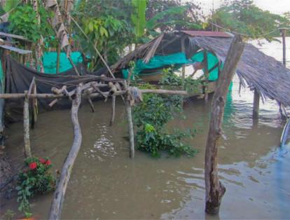 Campesinos de la vereda La Playa, en Betulia, aseguran que se registraron inundaciones en cultivos de plátano, yuca y tomate.