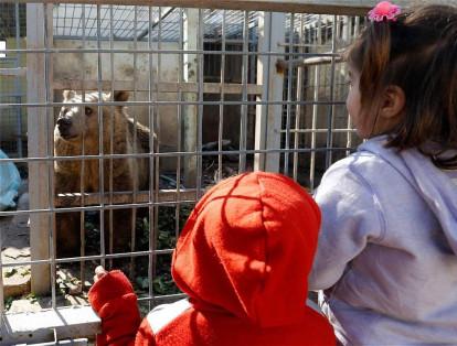 Ante la situación de los animales en el zoológico, la ONG Protección de los Derechos de los Animales ahora lucha por mejorar sus condiciones.
