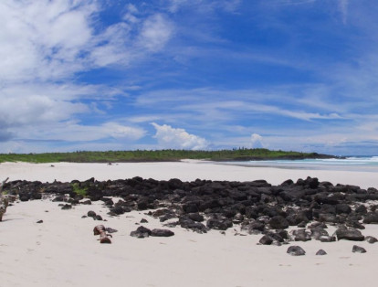 Las playas de la Isla Galápagos, en Ecuador, no solo son reconocidas por sus tortugas, sino también por la flora que la rodea.