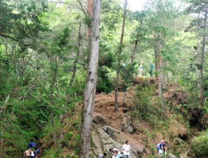 Parque Arví, Medellín: ha logrado aumentar la demanda turística y brinda conocimiento de los procesos de sostenibilidad ambiental, sociocultural y económica del territorio con las comunidades.