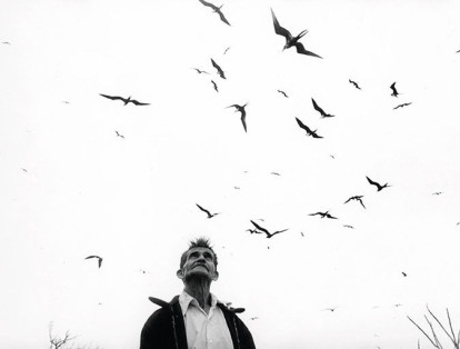 "El señor de los pájaros" (Nayarit, 1995).