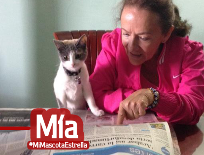 Rosa Elena Díaz nos comparte la foto de Mía, una gata culta que ama acompañar a su ama en los tiempos de lectura.