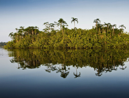 La cuenca del río Amazonas de 7.05 millones de km2, ocupa territorios de Bolivia, Brasil, Colombia, Ecuador, Guyana, Guayana Francesa, Perú, Surinam y Venezuela. Está compuesta por 12 macro cuencas y 158 sub cuencas, compartidas por 4.969 municipios y 68 departamentos /estados /provincias de los 9 países.