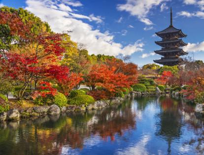 NatGeo recomienda visitar Kyoto, Japón, durante abril para conocer los Bailes de Primavera de las Geishas, realizado desde 1950.
