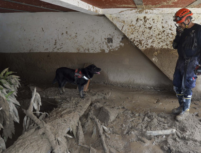 Un bombero intenta rescatar a un perro en una casa devastada por la avalancha