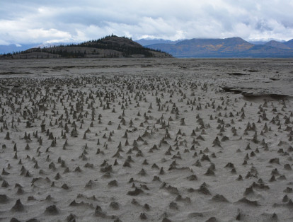Con el cambio de ruta del río, algunas secciones de tierra del lago Kluane quedaron expuestas. Por la erosión del viento la arena se ha sedimentado y han aparecido pequeños picos de pocos centímetros de altura.