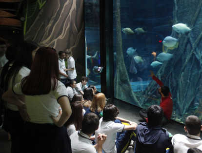 A este lugar llegan cientos de visitantes para conocer especies marinas de Colombia y el mundo.