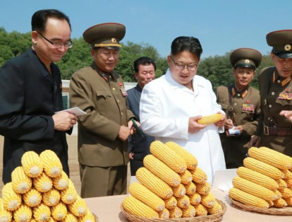 Kim Jong Un proporciona orientación de campo y verifica los cultivos de una granja, en compañía del Ejército Popular de Corea.