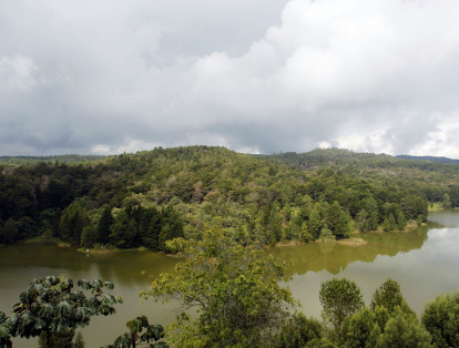 El Parque Ecológico Piedras Blancas es una reserva forestal situada en el corregimiento de Santa Elena.