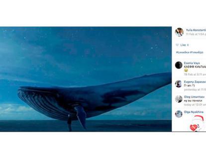 En la imagen se ve un patallazo de la cuenta VK de Yulia Konstantinova, una adolescente que posteó una imagen de una ballena mientras era parte de este peligroso movimiento.