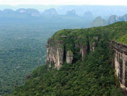 El presidente de la Asociación de Cabildos Indígenas del Bajo Caquetá, Luis Alberto Fiagama, estará a cargo de velar por la protección de de este paraje que acoge ecosistemas amazónicos y andinos.