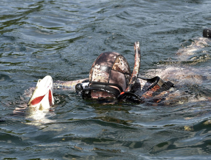 Pero también practicaron otras formas de pesca, como en esta fotografía, en la que Putin sostiene un pescado desde el agua, donde tiene traje de buzo.