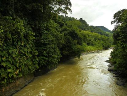 La Asamblea Departamental de Antioquia, a través de la ordenanza n°30, declaró el Parque Natural y Ambiental Cañón de la Llorona, como zona de importancia ambiental y geoestratégica para el departamento de Antioquia.