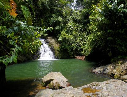 La Asamblea Departamental de Antioquia, a través de la ordenanza n°30, declaró el Parque Natural y Ambiental Cañón de la Llorona, como zona de importancia ambiental y geoestratégica para el departamento de Antioquia.