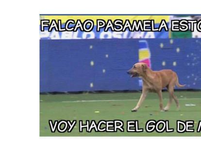 Los memes más divertidos del partido entre Colombia y Brasil