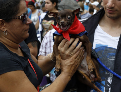 Perros, gatos e incluso cerdos hicieron marte de la marcha de animales que partió del Batallón Ayacucho y recorrió la Avenida Alberto Mendoza hasta el Bosque Popular el Prado, donde se inauguró una atracción canina.