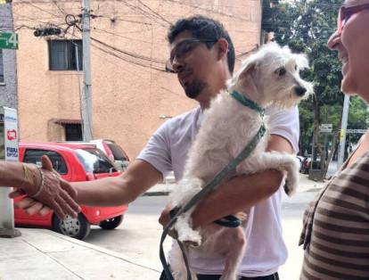 A través de una publicación en Twitter, una joven le pudo entregar un perrito extraviado a sus dueños. El animal fue encontrado en Ciudad de México horas después del sismo.