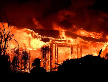 La 'tormenta de fuego' comenzó el domingo en la noche, casas enteras, viñedos y depósitos de Napa quedaron completamente destruidos.