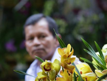El evento es realizado cada año por la Asociación Vallecaucana de Orquídeas (Avo) y en su edición 40 lleva el lema 'Porque la belleza también es una flor'.