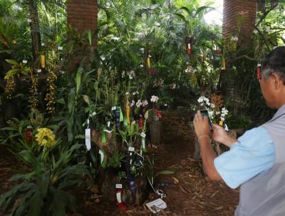 Los visitantes también pudieron disfrutar de una charla gratis sobre el cultivo de las orquídeas.