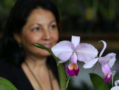 Las orquídeas llegan a tener más de 25.000 especies y cerca de 60.000 híbridos.