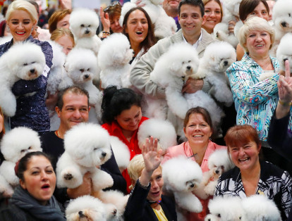 Más de 31,000 perros de 73 naciones se preparan para demostrar todas sus habilidades en el World Dog Show, el evento de exposición canina más importante del mundo.