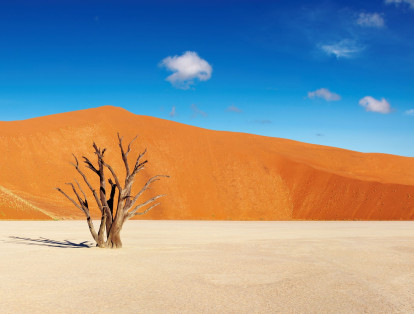 Dead Vlei – Namibia 

El Deadvley es un desierto ubicado dentro del Parque Namib-Naukluft en Namibia, en el continente africano. La historia de su formación data de hace más de 900 años, luego de que el río Tsauchab se desbordara generando el crecimiento de árboles de acacia. A pesar de este evento, el cambio climático y el aumento de la temperatura de la tierra hicieron que los árboles se secaran y se formara un subsuelo de arcilla compacta. Actualmente el lugar se conoce con el nombre de ‘cementerio de árboles’.