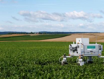 Un robot de campo profundo de Bosch llamado "BoniRob" se representa en un campo en Renningen cerca de Stuttgart, Alemania.
