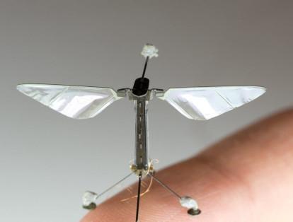 RobotBee, el robot con forma de insecto es capaz de sumergirse en el agua y volar.  Tan solo pesa 175 miligramos y tiene un gran potencial para la polinización de cultivos, misiones de búsqueda y rescate.